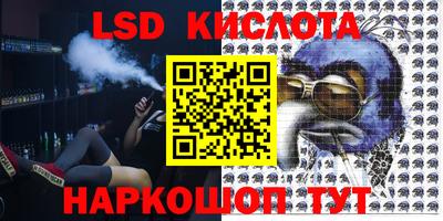 индика Заводоуковск