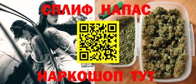 индика Заводоуковск