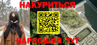 индика Заводоуковск