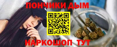 индика Заводоуковск