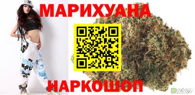 индика Заводоуковск