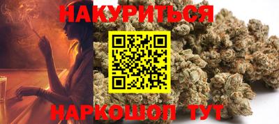 индика Заводоуковск