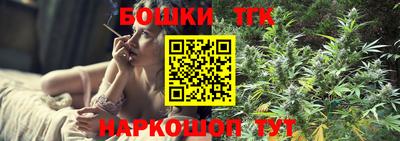 индика Заводоуковск