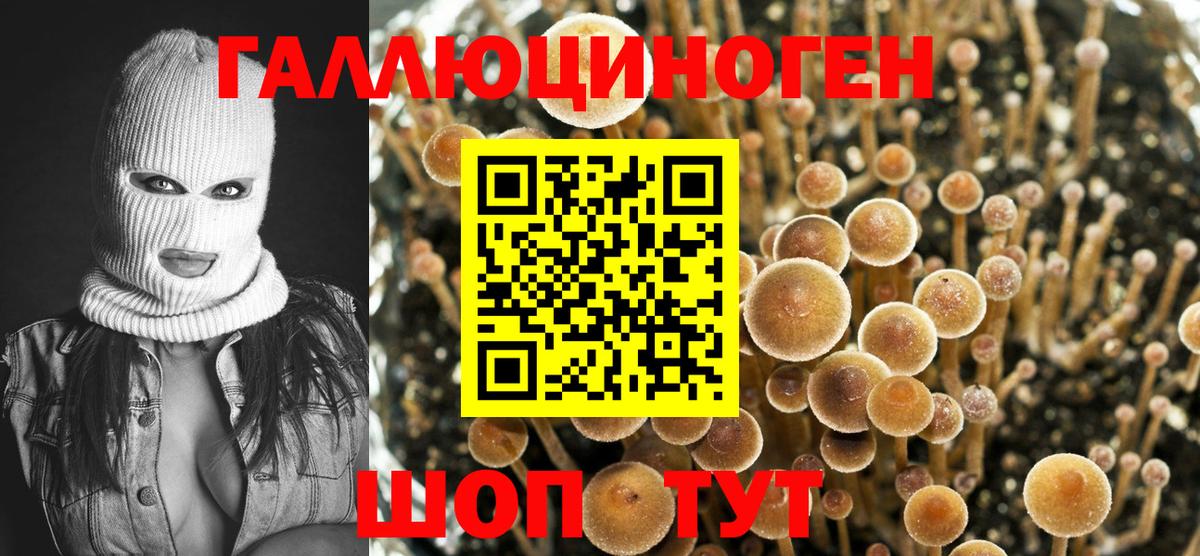 ГАШИШ  Миасс  Канабис  КОКАИН  Меф МЯУ МЯУ   Вход с VPN  А ПВП СОЛЬ   НБОМе 