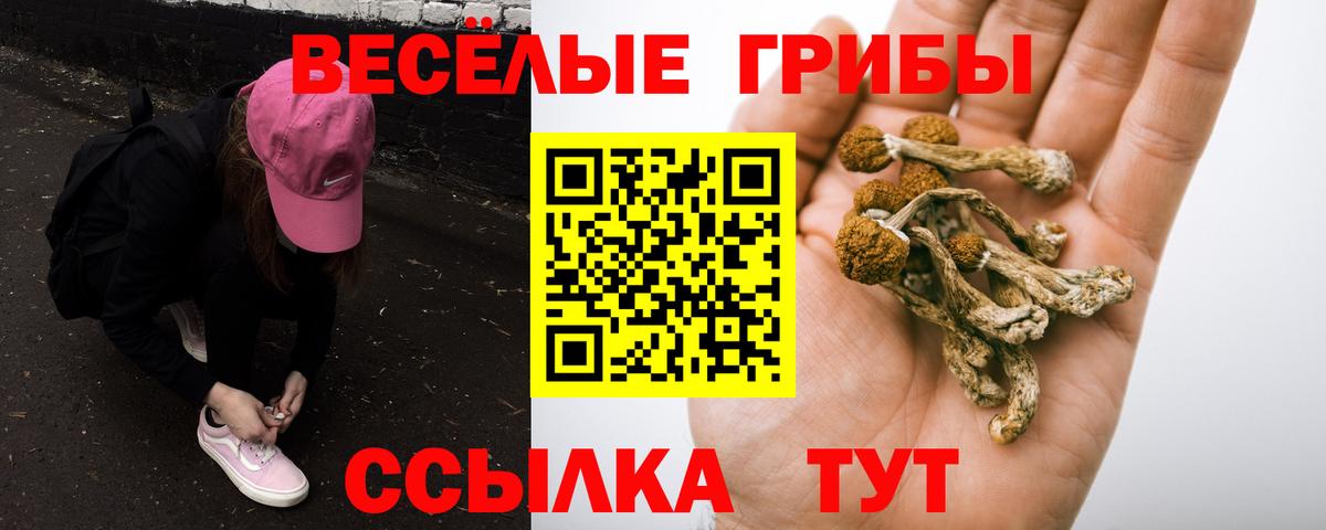 Галлюциногенные грибы Psilocybine cubensis Миасс
